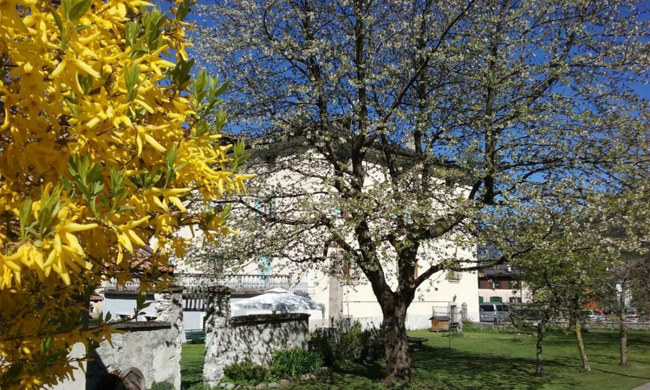 B&B Ca Dei Baroni Pellizzano Dış mekan fotoğraf