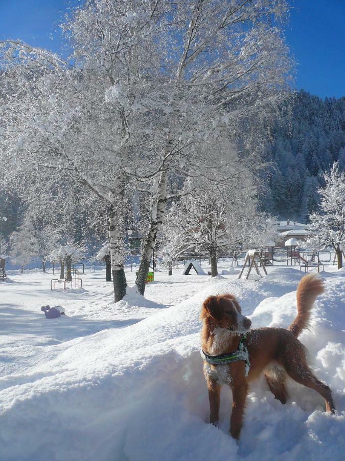 B&B Ca Dei Baroni Pellizzano Dış mekan fotoğraf
